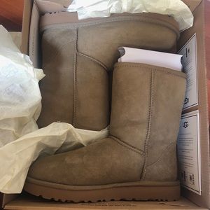 Brand New UGG Boots